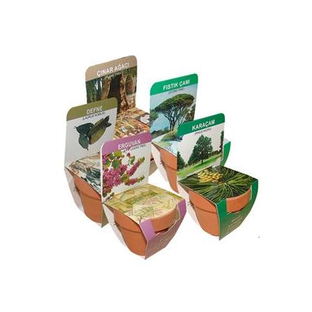 Toprak Saksılı Yetiştirme Kiti