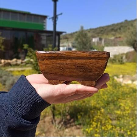 Antik Görünümlü Bonsai Kare Saksı