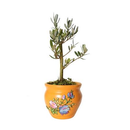 Çiçek Motifli Saksı İçinde Zeytin Ağacı (Turuncu)