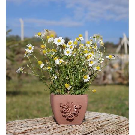 Çiçek Dekorlu Saksı (Pudra)