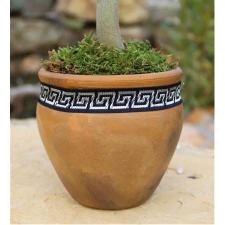 Meander Motifli Toprak Saksı İçinde Zeytin Fidanı – Açık Kahve